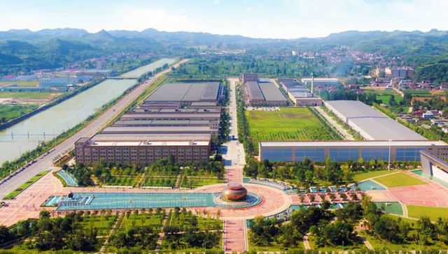 金徽,白酒,投资,招股书,质押