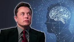 当人类选择上传大脑时，将迎来一个怎样的未来？