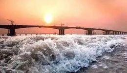 高質(zhì)量政策刺激出臺，此輪家電以舊換新和家電下鄉(xiāng)與以往不一樣