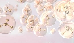 首部祛斑美白法規(guī)來了