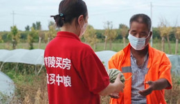 爱心助农·瓜分美好 ，践行央企担当，用行动温暖城市