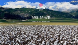 潔麗雅被執(zhí)行3.64億，董事長曾被限消，品牌價值一度超200億