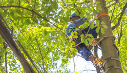 国网宁波供电公司：狠抓进度抢工期 确保新芝小学如期开学