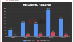 钴矿行业首份半年报：寒锐钴业增收不增利，千万管理费“打水漂”