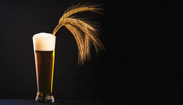 單月發(fā)生四起融資，俞敏洪也來了，精釀的“三重?zé)帷? class=