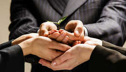 新酒饮之后，黄酒资本化加速了