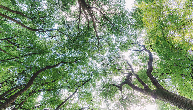 新乡僧固：人居环境扮靓新颜值