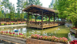 以“廖家木雕”为本底  四川崇州这个村在增强集体经济造血功能上做文章