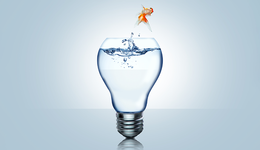 破解动销难题，地方名酒最该用这五个办法