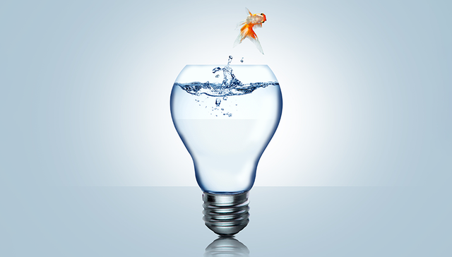 茅台,白酒,五粮液,投资,消费