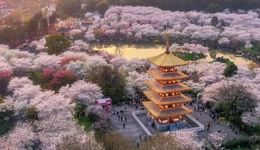 500亿，武汉产业母基金大爆发