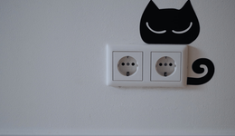 利潤增速大幅放緩，“插座茅”公牛漸失護(hù)城河