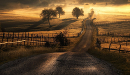 閱文三重考驗(yàn)：IP變現(xiàn)、免費(fèi)文學(xué)、用戶增長