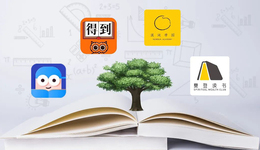 知識(shí)付費(fèi)“四大天王”：興于IP，困于IP