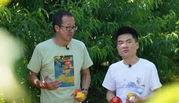 拒絕抖音依賴，俞敏洪偷偷留了后手