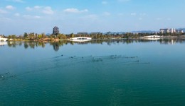 龙泉驿“城”长记：用公园城市“校对”产城融合发展