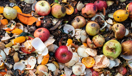 舌尖上的浪费，被丢弃的千亿生意