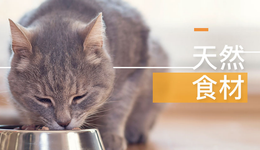 佩蒂股份股价业绩齐飞，但经营现金流却下降50%、净流出上亿