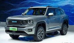 营收持平、净利增长58.72%，长城汽车单车售价上调拉动毛利增长