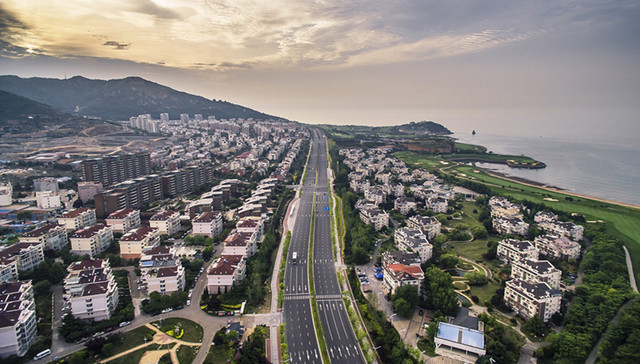 创城漫笔｜在崂山，一树花开终有梦
