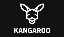 四月融资，八月倒闭，女学霸创立“饭圈元宇宙”梦碎种子轮