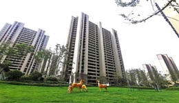 直击碧桂园凤凰城交付现场，听听新业主们的心声…