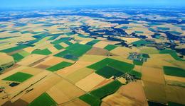 7/10的速冻水饺、1/2的火腿肠、1/3的方便面，河南食品如何问鼎中原？