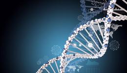 从非生殖细胞到生殖细胞，转基因人的最后一步