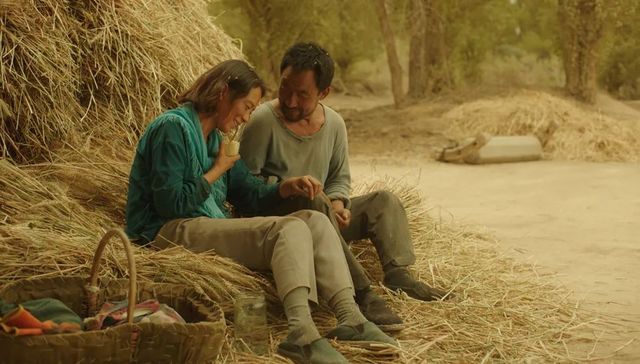 中国电影,文艺片,隐入尘烟,票房,海清,武仁林,短视频,抖音,电影宣发