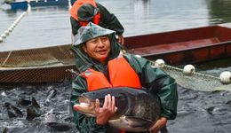 鱼养水 水养鱼 养出生态鱼新名片