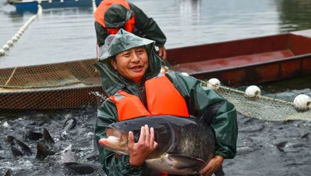 鱼养水 水养鱼 养出生态鱼新名片