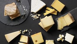 小奶酪如何撬動千億藍海大市場？