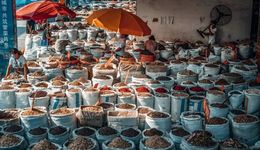 全球最大的中药交易中心，一年产值1400亿