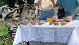 宁波野生动物园中秋特别活动特辑