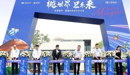 樾世界 见未来 | 紫薇越秀·馨樾府营销中心惊艳绽放