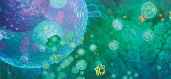 临床,医疗,投资,干细胞,医美