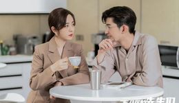 “张翰”群像剧彻底抛锚了？