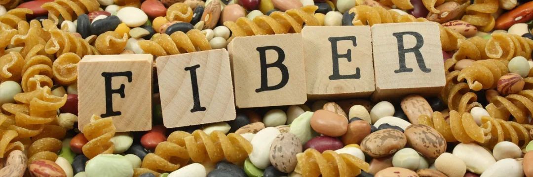 膳食纤维,饮食健康,风口