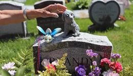 宠物殡葬，“烧”出一条新路