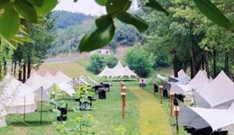 虽是“冷落清秋节”，但长三角、环京的微度假赢麻了