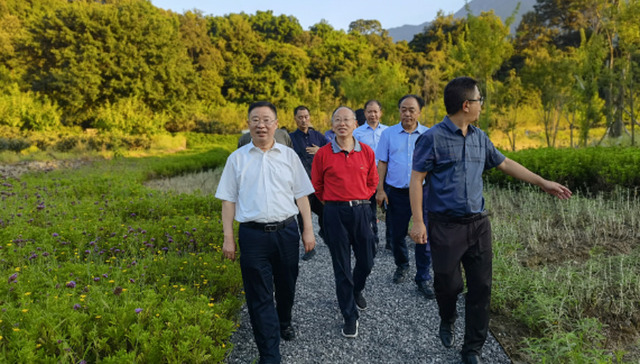 首提“恬生活”方式，四川海花沟打造“新自然主义”人居环境