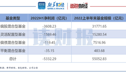 混合型基金中报透视：中欧、诺安、睿远基金产品亏损位居行业前三
