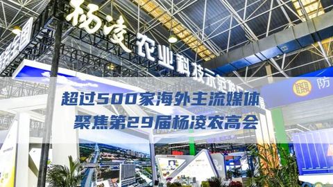 媒体聚焦杨凌农高会 见证区域农业创新发展