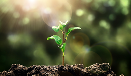 六大整改、全面核查，监管重拳“整治赤水河茅台镇酒企污染”影响几何？