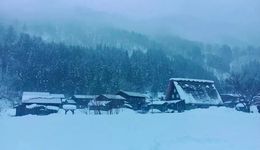 市值蒸发1700亿美元，这家小巨头“过冬”