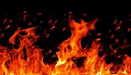 遷徙、潮牌與50%凈利，被欲望和野性支配的閩系電商江湖