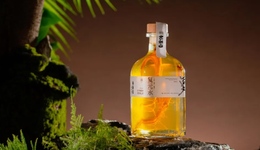 “养生党”的痛，零食能救吗？