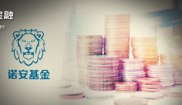 諾安百億基金經(jīng)理蔡嵩松的“驚魂一夜”