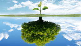 上半年33起投融资事件规模破54亿，酒类赛道有哪些新变化？