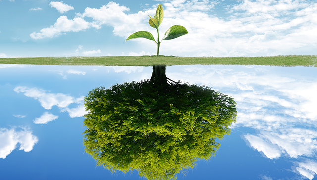 融资,精酿啤酒,投资